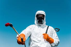 Best Bee and Wasp Removal  in Dubach, LA